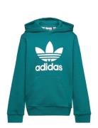 Trefoil Hoodie Tops Sweatshirts & Hoodies Hoodies Green Adidas Origina...