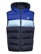 J Sd Vest Foret Vest Blue Adidas Sportswear