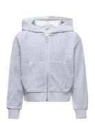 Sweatshirt Velour With Hoodie Tops Sweatshirts & Hoodies Hoodies Grey ...