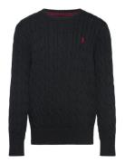 Combed Cotton-Ls Cable Cn-Tp-Swt Tops Knitwear Pullovers Black Ralph L...