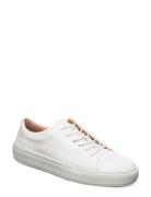 Sampe Designers Sneakers Low-top Sneakers White Tiger Of Sweden