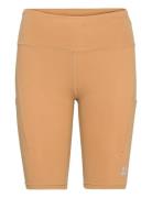 W. Sporty Seam Shorts Bottoms Shorts Cycling Shorts Brown Svea