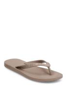 Flip Flop Shoes Summer Shoes Sandals Flip Flops H2O