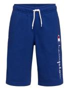 Bermuda Sport Shorts Blue Champion