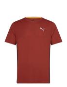 Run Favorite Velocity Tee Sport T-Kortærmet Skjorte Burgundy PUMA