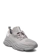 Prospect Sneaker Low-top Sneakers Grey Steve Madden