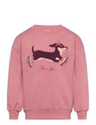 Sweatshirt Ls Tops Sweatshirts & Hoodies Sweatshirts Pink Minymo