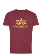 Basic T-Shirt Designers T-Kortærmet Skjorte Burgundy Alpha Industries