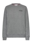 Track Top  Tops Sweatshirts & Hoodies Sweatshirts Grey Tommy Hilfiger