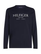 Big Hilfiger Ls Tee Tops T-Kortærmet Skjorte Navy Tommy Hilfiger