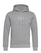 Reg Tonal Shield Hoodie Tops Sweatshirts & Hoodies Hoodies Grey GANT