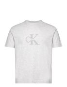 Chenille Monologo Tee Tops T-Kortærmet Skjorte Grey Calvin Klein Jeans