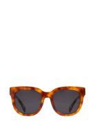 Monza Havana Black Firkantede Solbriller Black Corlin Eyewear