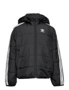 Padded Jacket Sport Jackets & Coats Puffer & Padded Black Adidas Origi...