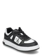 Calvin Klein Jeans Low-Cut Lace-Up Sneaker Low-top Sneakers Black Calv...