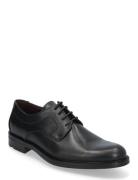 Daytona Shoes Business Formal Shoes Black Lloyd