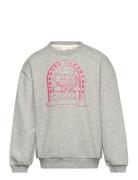 Sweatshirt Tops Sweatshirts & Hoodies Sweatshirts Grey Sofie Schnoor B...