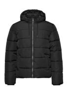 Onsmelvin Life Hood Puffer Jacket Otw Vd Foret Jakke Black ONLY & SONS