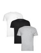 Tonic Ss Crew 3 Pk Tops T-Kortærmet Skjorte Grey AllSaints