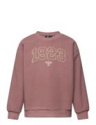 Hmlcosso Sweatshirt Sport Sweatshirts & Hoodies Sweatshirts Pink Humme...