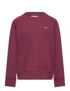 Shield C-Neck Tops Sweatshirts & Hoodies Sweatshirts Burgundy GANT