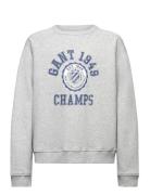 Gant 1949 Raglan C-Neck Tops Sweatshirts & Hoodies Sweatshirts Grey GA...