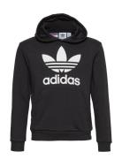 Trefoil Hoodie Sport Sweatshirts & Hoodies Hoodies Black Adidas Origin...