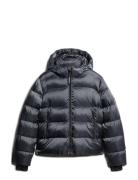 Hooded Luxe Sports Puffer Foret Jakke Navy Superdry