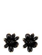 Pearl Cluster Earring Accessories Jewellery Earrings Studs Black By Jo...