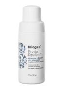 Briogeo Scalp Revival™ Charcoal + Biotin Dry Shampoo 50Ml Tørshampoo N...