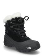 Y Shellista V Lace Wp Sport Winter Boots Winter Boots W. Laces Black T...