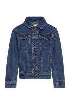 Denim Jacket Outerwear Jackets & Coats Denim & Corduroy Blue Tom Tailo...