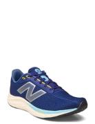 New Balance Freshfoam Arishi V4 Sport Sport Shoes Sport Running Shoes ...