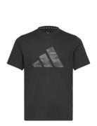 Adidas Train Essentials Camo Graphic Logo T-Shirt Sport Men Men Sports...