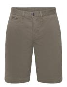 Jeffrey Chino Shorts Designers Shorts Chinos Shorts Green Morris