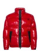 Biron2441 Designers Jackets Padded Jackets Red HUGO