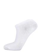 Daily Sustainable Low Cut Sock 3-Pack Sport Women Sport Clothing Sport...