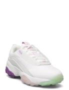 Fila Loligo Cb Wmn Sport Women Sport Shoes Sport Sneakers Sport Low To...