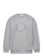 Sweat Shirt Haw Tops Sweatshirts & Hoodies Sweatshirts Grey Petit Piao