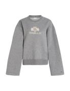 Reg Varsity C-Nk Wide Slv Tops Sweatshirts & Hoodies Sweatshirts Grey ...