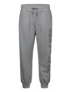 D.2 Retro Shield Sweatpants Bottoms Sweatpants Grey GANT