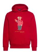 Lunar New Year Polo Bear Hoodie Tops Sweatshirts & Hoodies Hoodies Red...