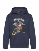 Lwscout 706 - Sweatshirt Tops Sweatshirts & Hoodies Hoodies Navy LEGO ...