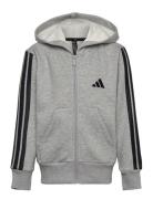 J 3S Fl Fz Hd Tops Sweatshirts & Hoodies Hoodies Grey Adidas Sportswea...