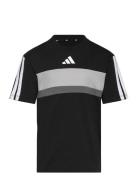 J 3S Tib T Tops T-Kortærmet Skjorte Black Adidas Sportswear