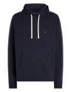 Global Stripe Hoody Tops Sweatshirts & Hoodies Hoodies Navy Tommy Hilf...