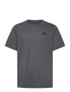 Tr-Es Fr T Sport Men Sports Clothes Sport Tops Sport T-Skjorte Grey Ad...