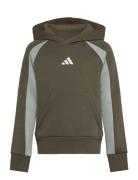 J Cb Fl Hd Sport Sweatshirts & Hoodies Hoodies Green Adidas Sportswear