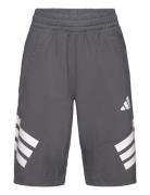 J Spr Shorts Sport Shorts Sport Shorts Grey Adidas Sportswear