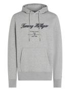 Script Logo Hoody Tops Sweatshirts & Hoodies Hoodies Grey Tommy Hilfig...